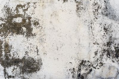 Concrete Tinting in Corpus Christi, TX