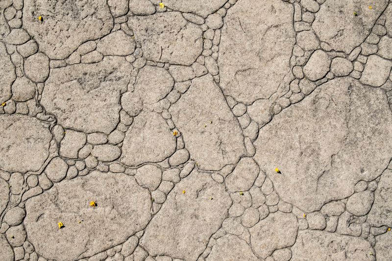 Decorative Concrete Repair in Everett, WA