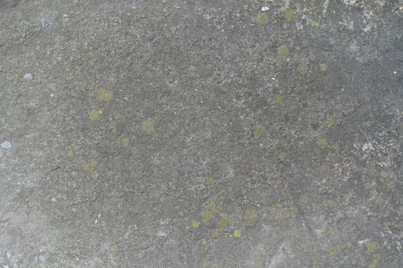 Interior Concrete Staining in Fort Worth, TX